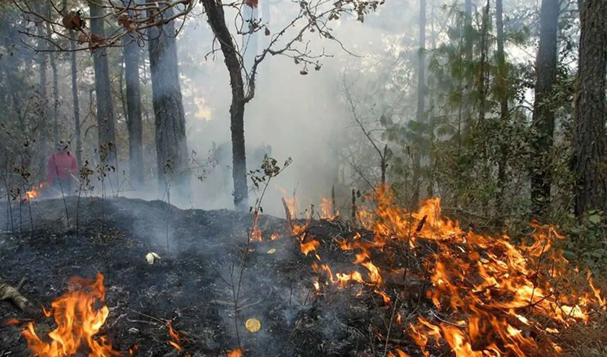 Incendios forestales comienzan a registrarse en Cajamarca