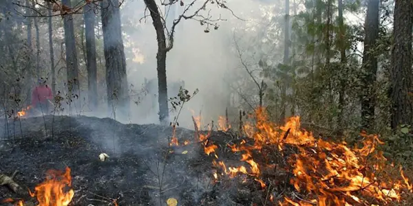 Incendios forestales comienzan a registrarse en Cajamarca