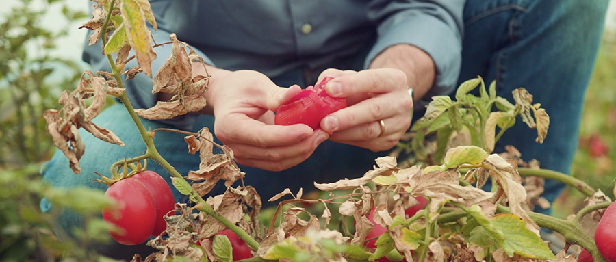 BRANDED CONTENT - Deutsche Bank