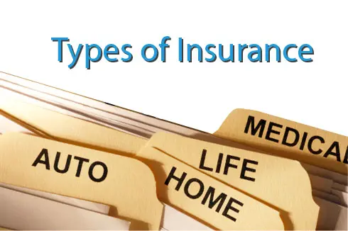 Common Insurance Types & Terms 