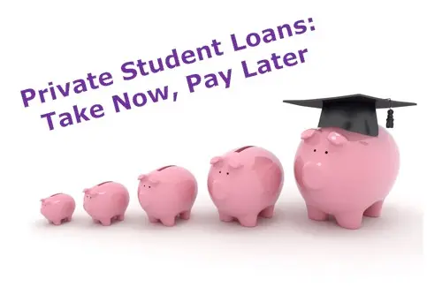 Private Student Loan Relief | Default or ....?