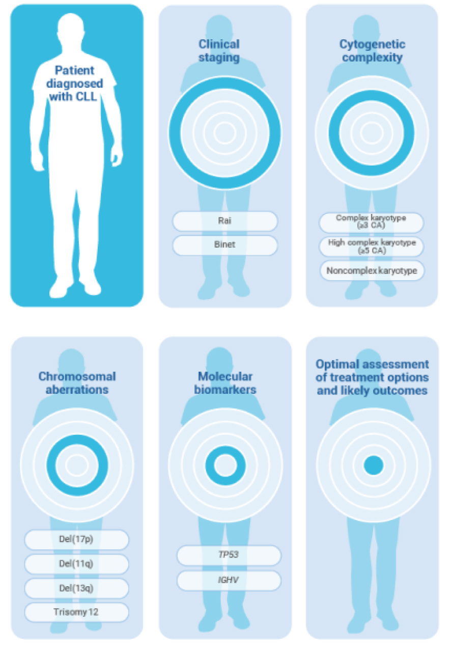 Patient with CLL prognostic factors listed, including clinical staging, cytogenetic complexity, chromosomal aberrations, and molecular markers