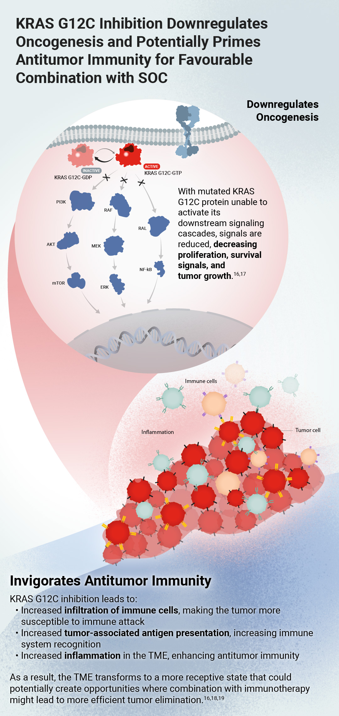 Image slider showing tumor and cellular environments when KRAS G12C is mutated vs inhibited
