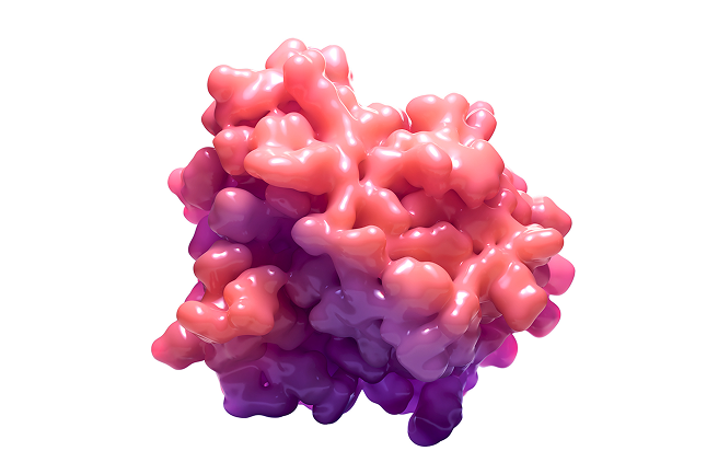 Mutated KRAS G12C illustration