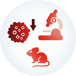 Icons showing tumor shrinkage, microscope, and a mouse depicting preclinical research