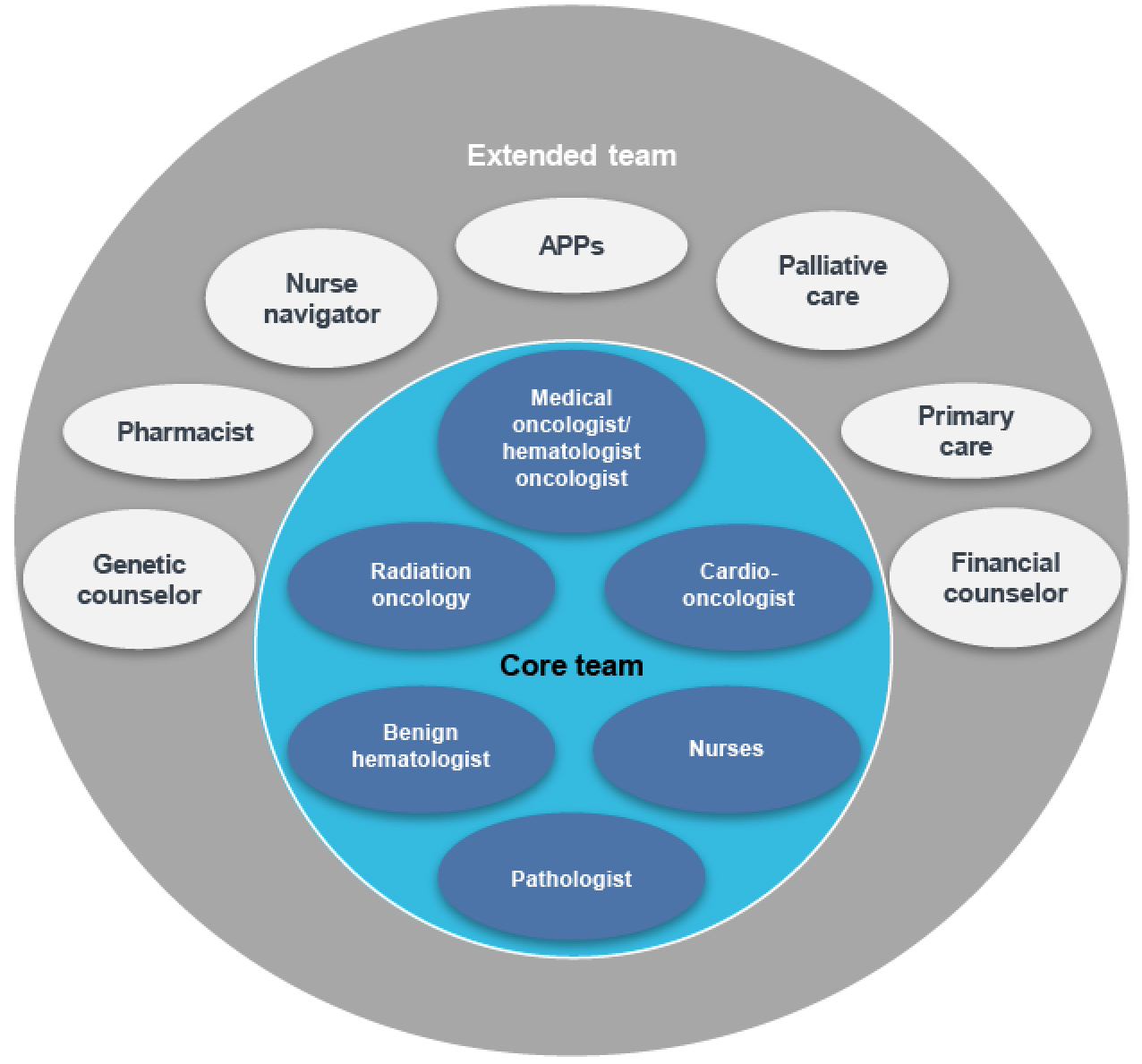 Composition of the multidisciplinary team in care of patients with CLL