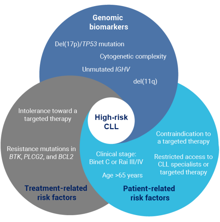 Factors associated with high-risk CLL in a 3-circle graphic