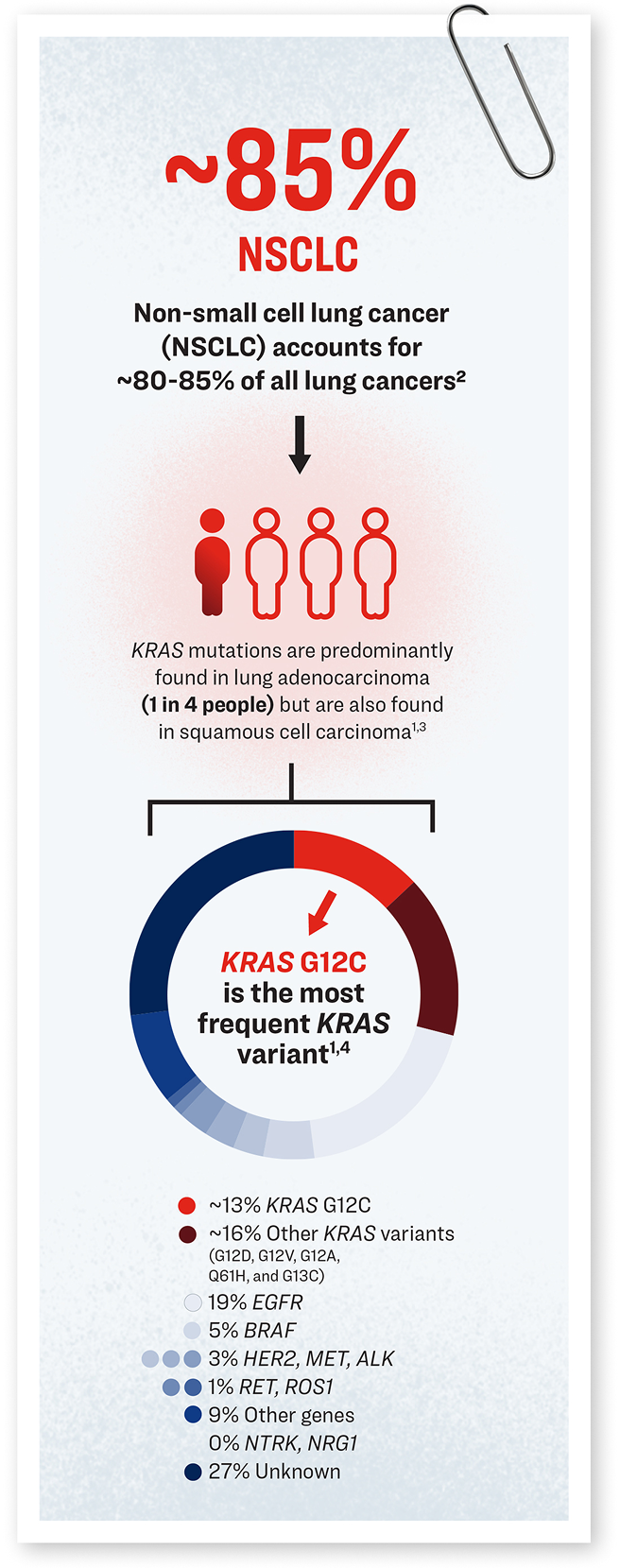 Epidemiological breakdown of NSCLC cases with subdivision by major oncogenic driver mutations.