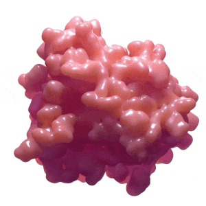 Rotating GIF of KRAS G12C molecule
