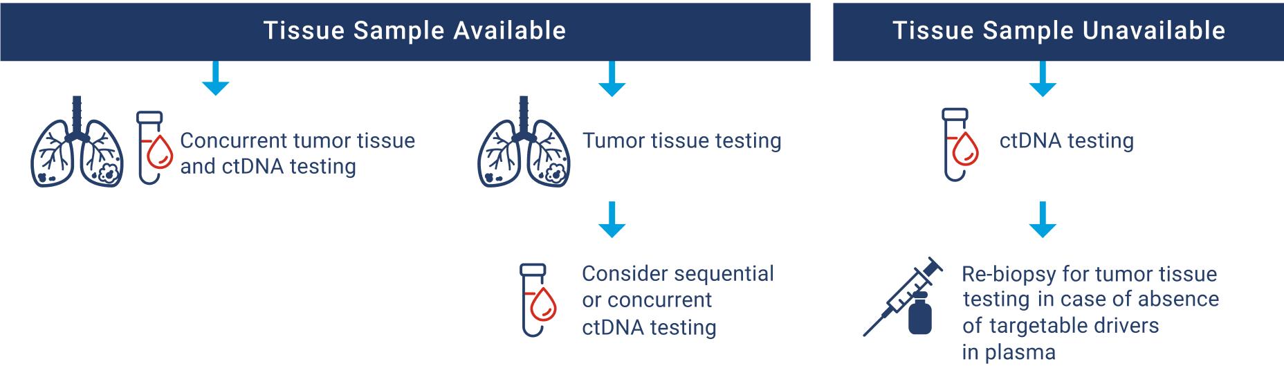 Diagnostic algorithm for ctDNA testing use in treatment-naïve advanced/metastatic NSCLC