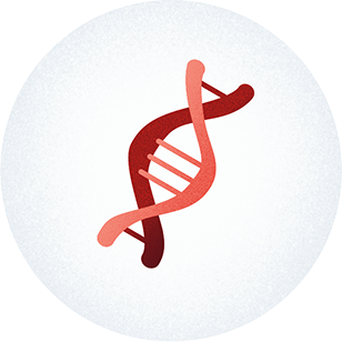 A DNA icon