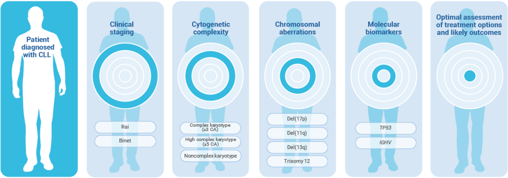 Patient with CLL prognostic factors listed, including clinical staging, cytogenetic complexity, chromosomal aberrations, and molecular markers