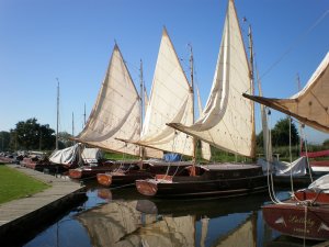 sailing-boats-287269 1920-300x225