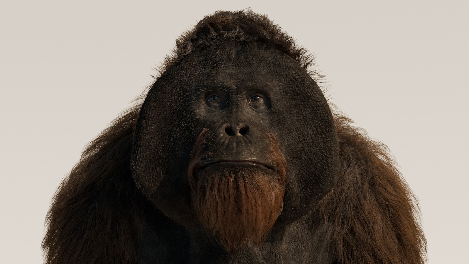 Maya，zbrush创建电影级别的CGI猩猩,制作流程经验分享
