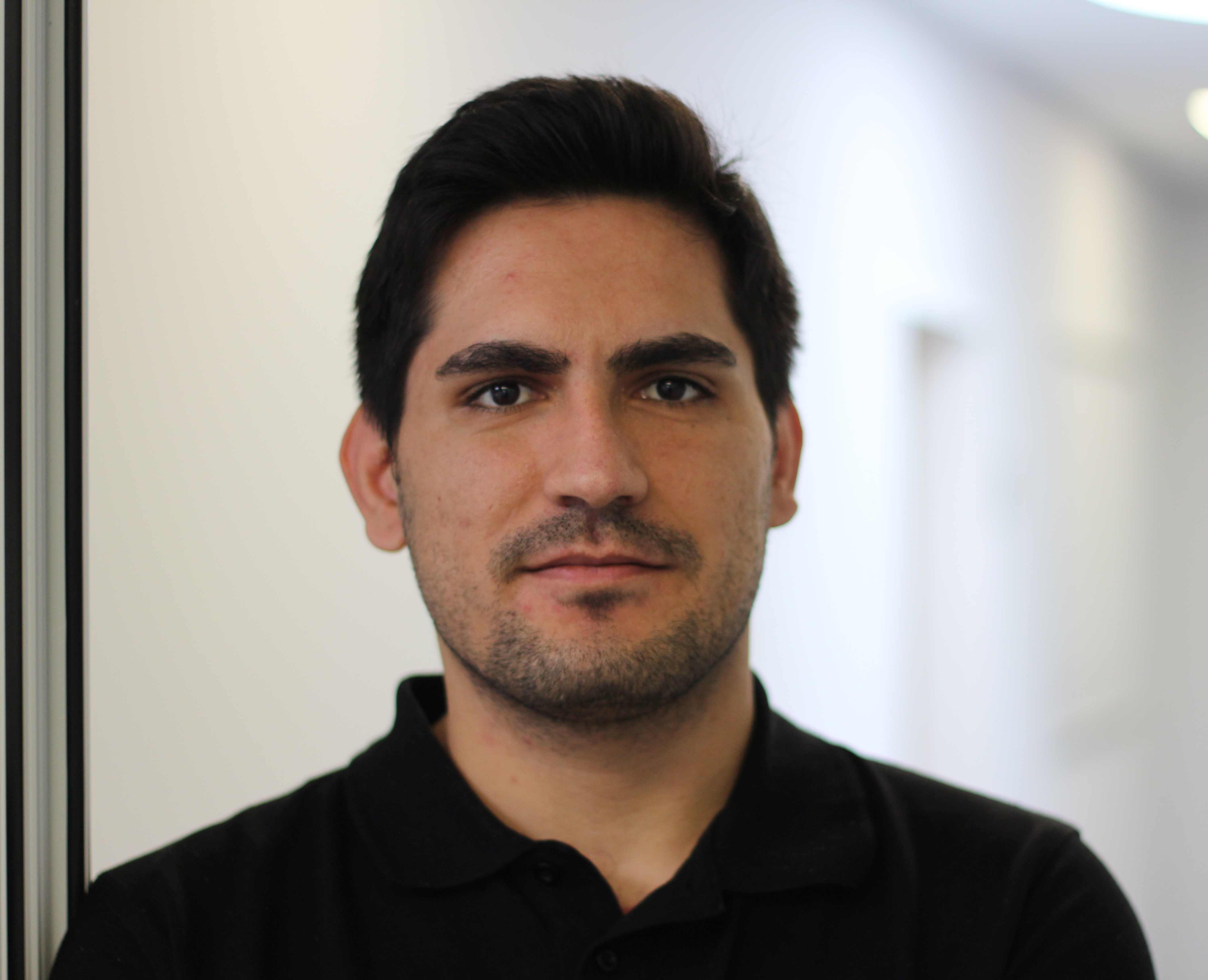 Electronics Developer
