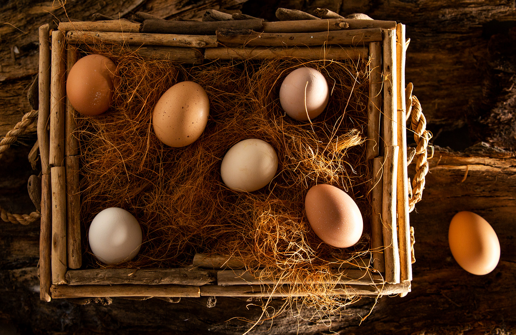 Farm, eggs, farm to table, ingredients, food, photography, food photography, chicken, breakfast, canon