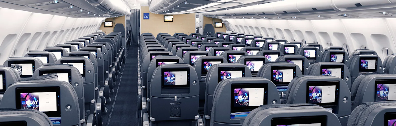 Our Ticket Types Different Types of Flight Tickets SAS