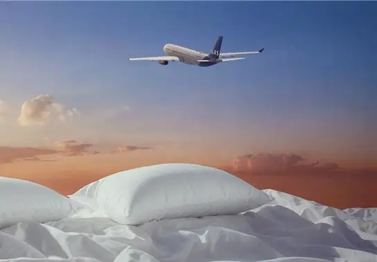 A match made in heaven