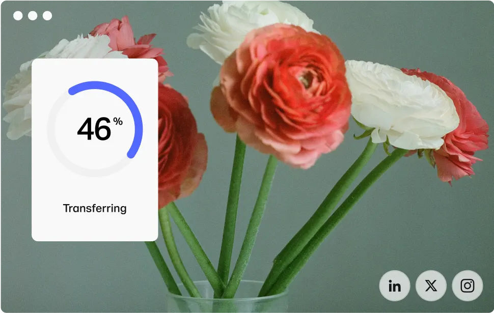 Distribute your content wetransfer
