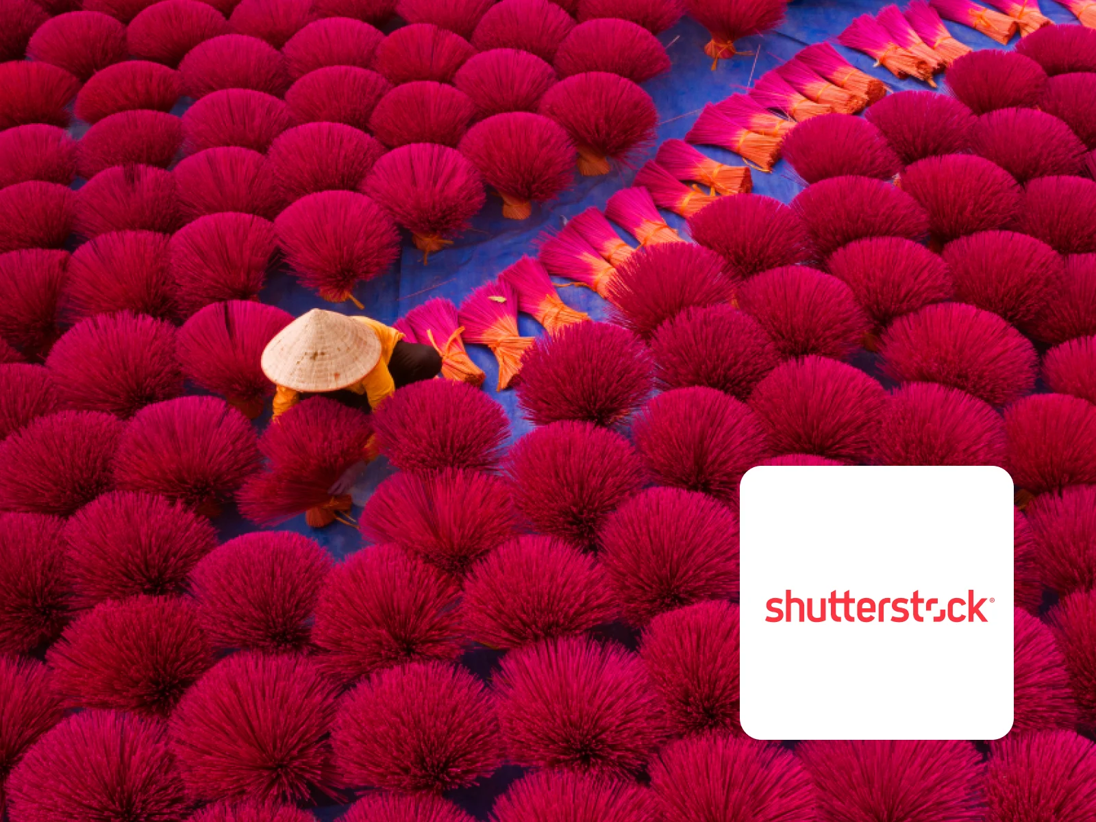 Decorative: An image from Shutterstock with lots of colors