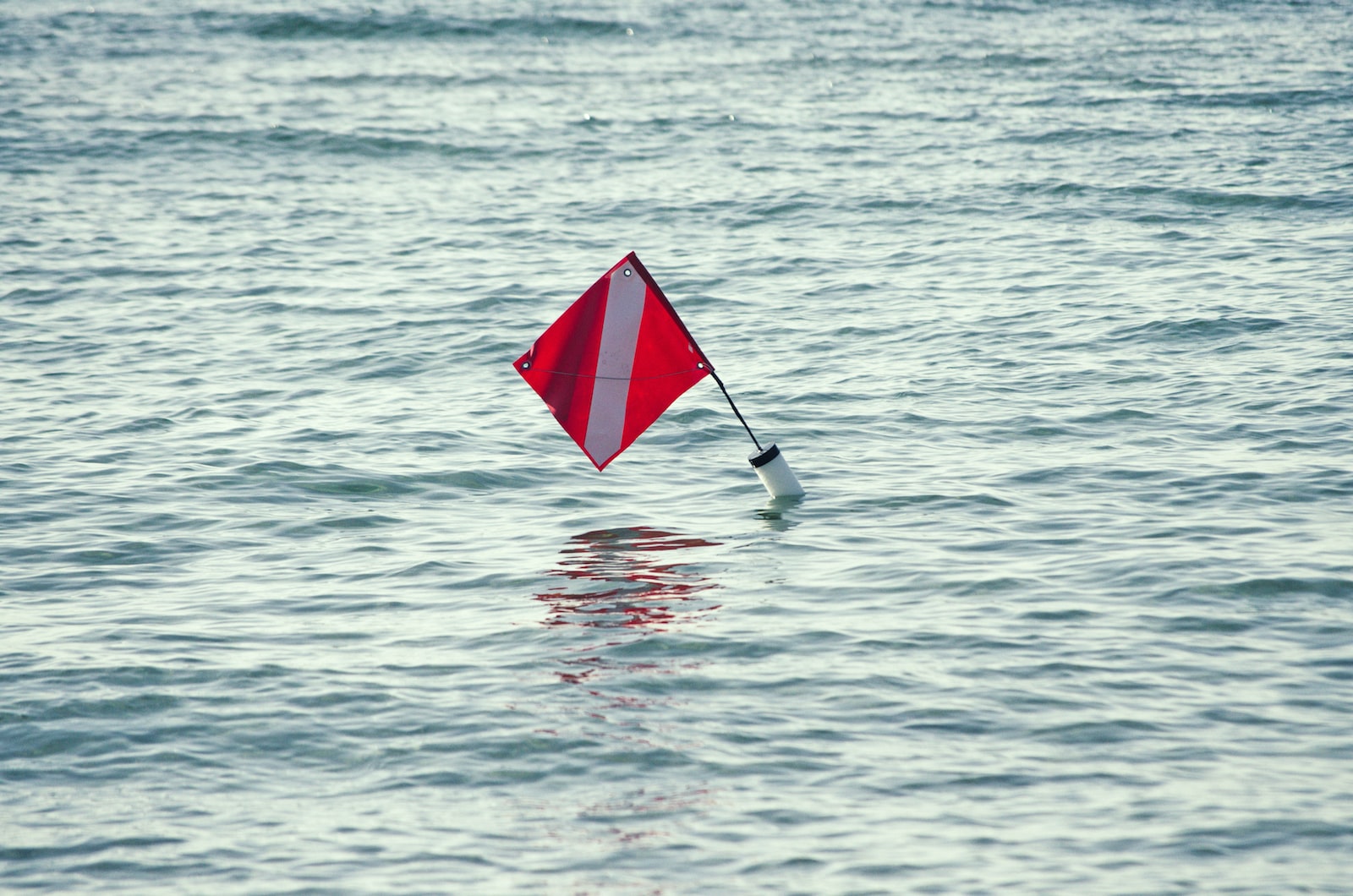 How To Avoid The Top 5 Red Flags When Hiring