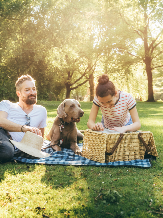 Zwei Menschen und ein Hund auf einer Picknickdecke im Park