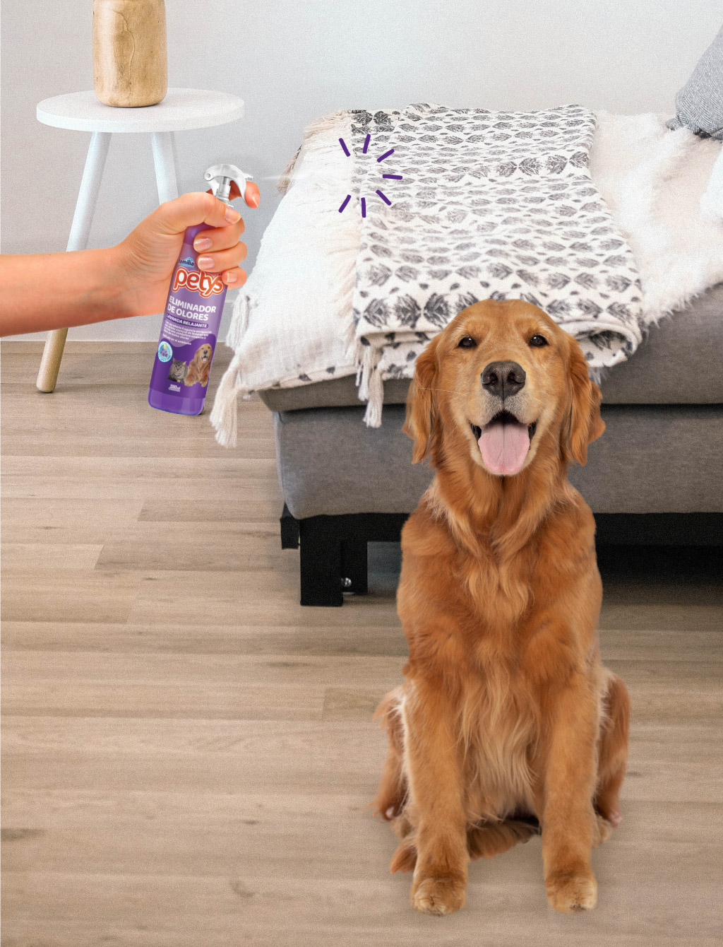 Eliminador de Olores Petys Spray – Amiscot Pet