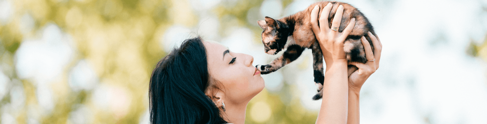 6 cosas que debes saber antes de adoptar un gato