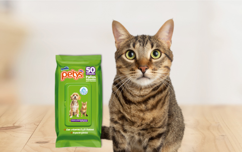 Cuidados de gatos con Pañitos Húmedos Petys 