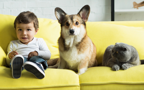 Relación entre las mascotas y los niños