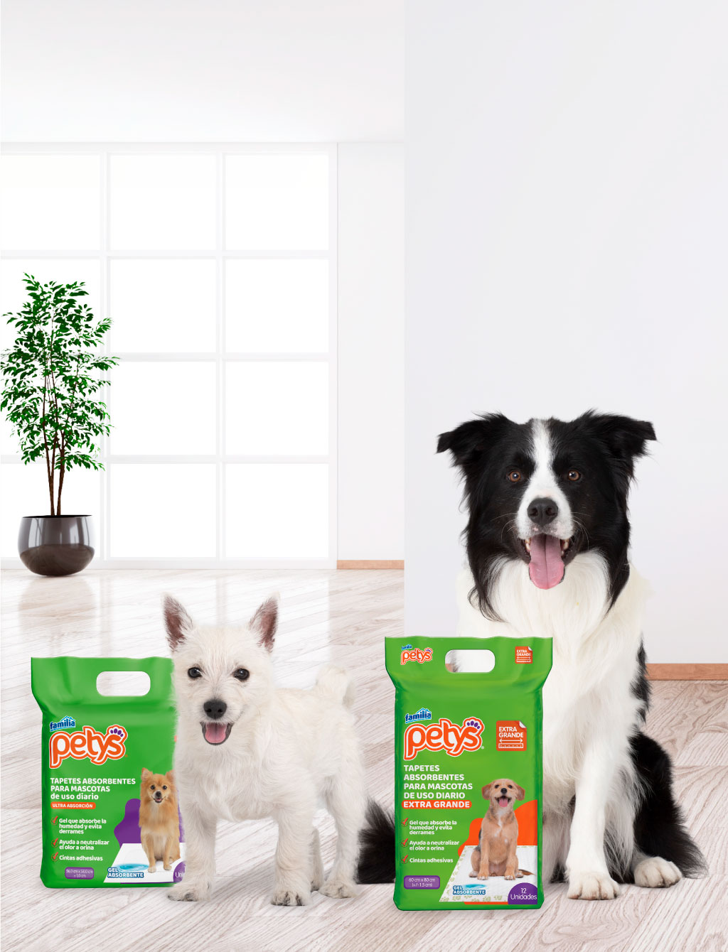 Tapetes Absorbentes Para Mascotas – HAPPY PETS CO