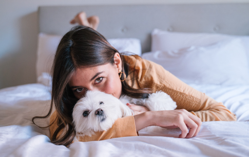 Te contamos cuáles son las ventajas de dormir con tu perro o gato. Conoce los beneficios en 
nuestro blog Petys.  