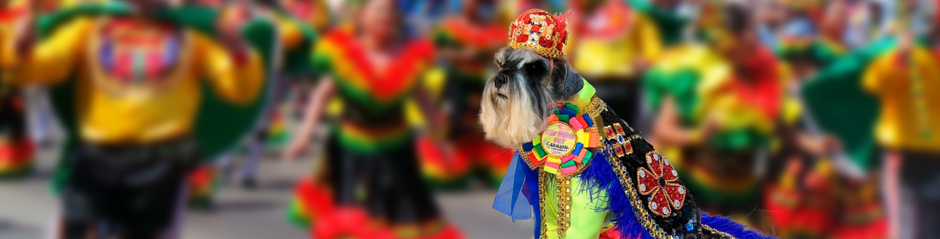 El carnaval de Barranquilla tiene Rey Momo Canino-Petys