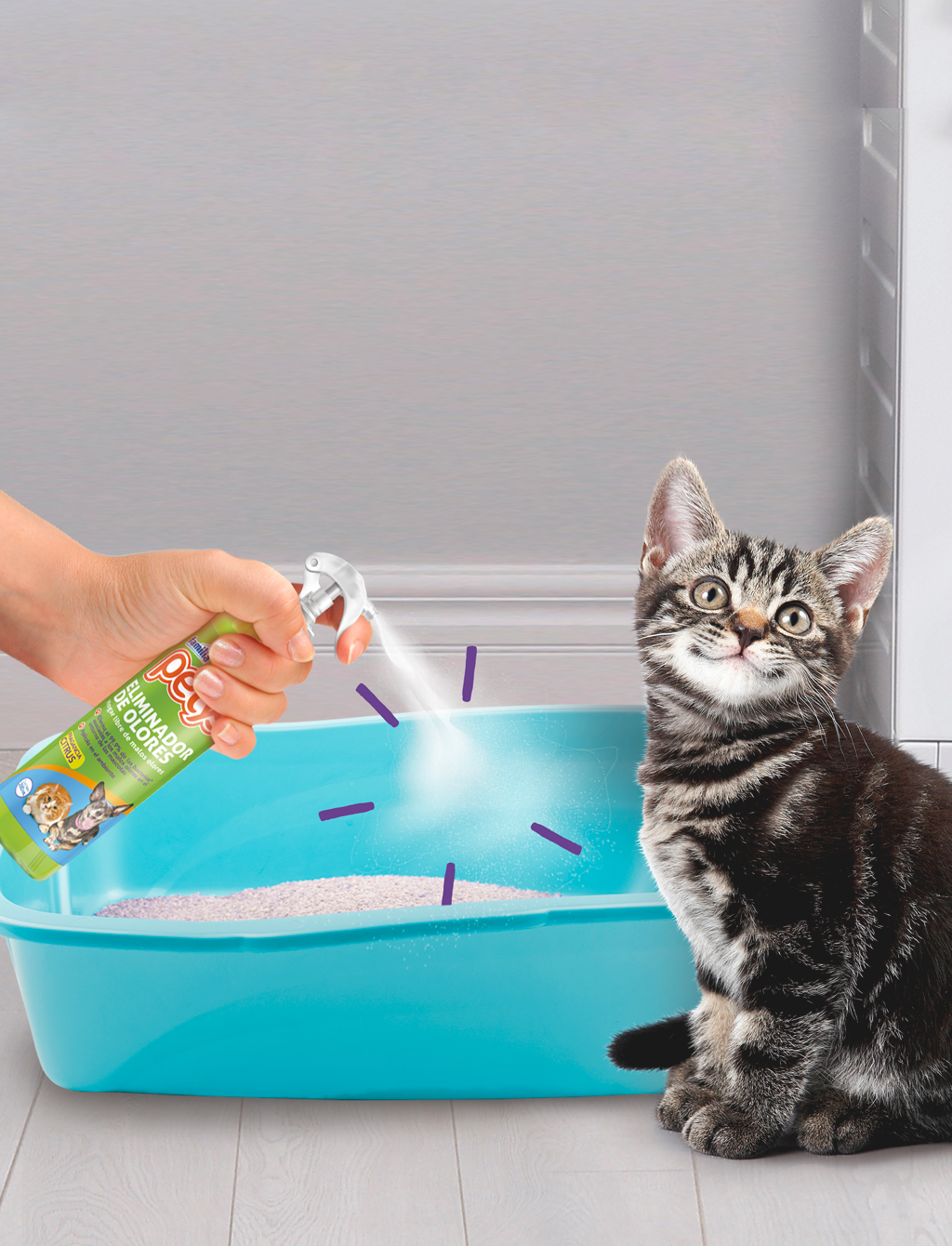 ¿Con qué se elimina el olor a orina de gato?: Petys es la solución?