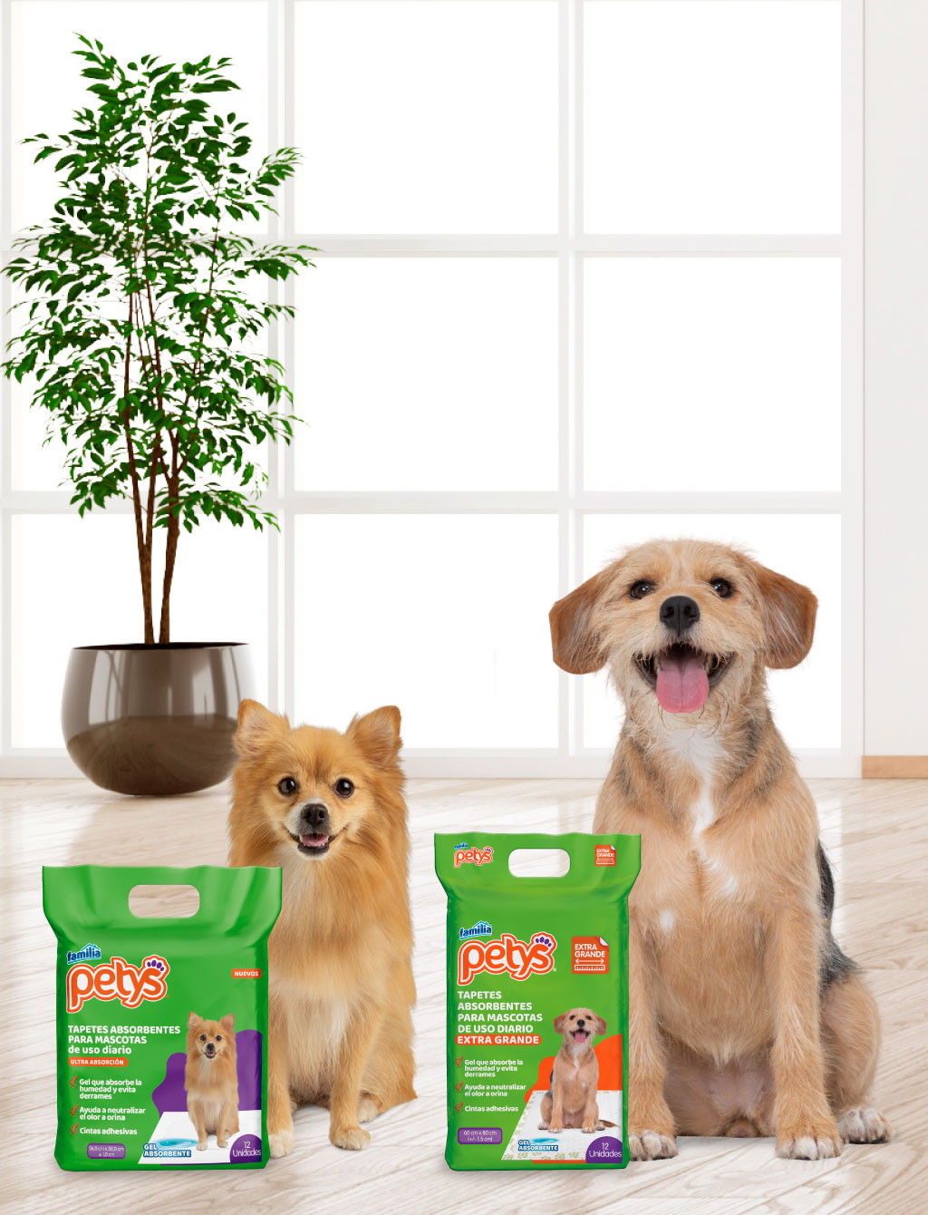 Beneficios de  usar un tapete absorbente para perros en casa