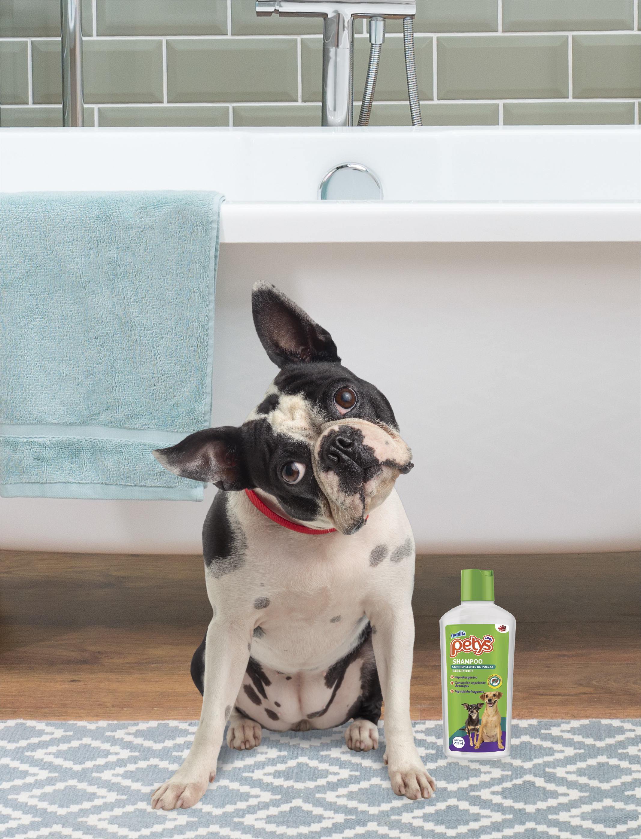 cuidados para cachorros con pulgas shampoo repelente