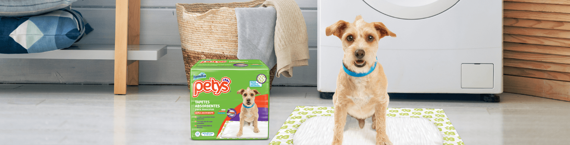 5 pasos para enseñarle a usar los tapetes a mi mascota  - Petys