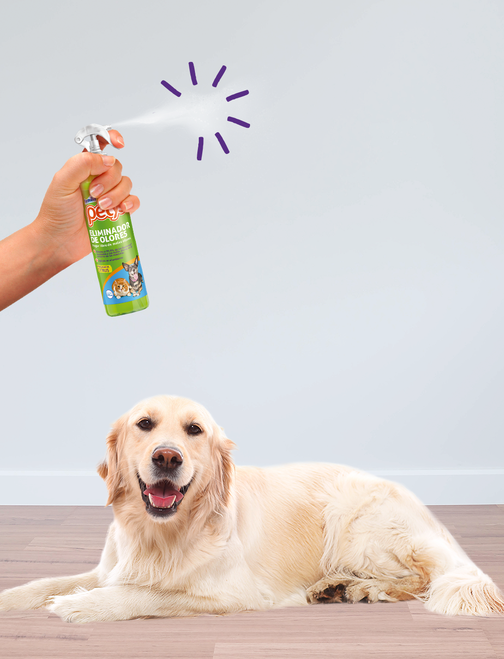 Elimina el olor a orina de tus mascotas con Eliminador de olores Petys 