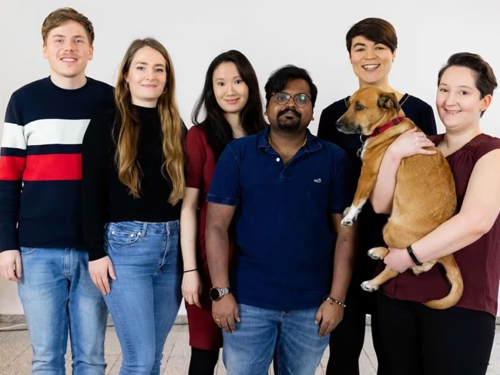ProVeg HR-Team