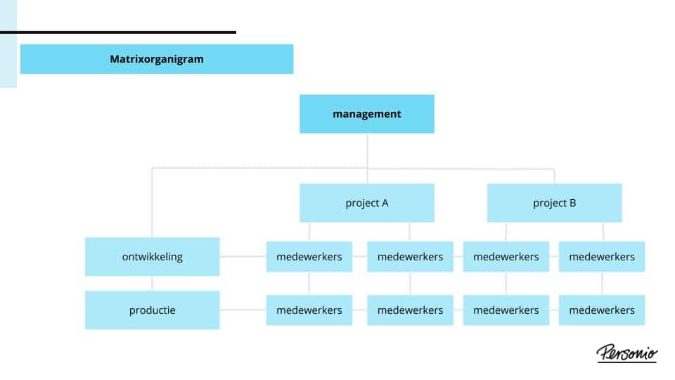 Organigram Maken: Voorbeelden Excel + Word | Personio