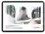 Thumbnail image showing AI Whitepaper title page