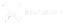 Blue Banana Logo White