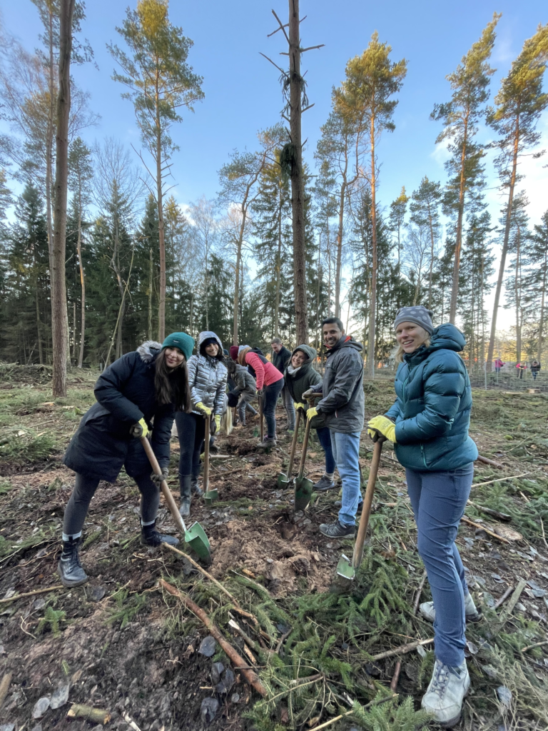 Tree planting