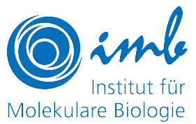 Institut für Molekulare Biologie Logo