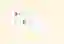 Produkt Screenshot von Personio Feedback Feature