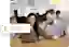 [Automated Test Entry]:Two employees uploading CV