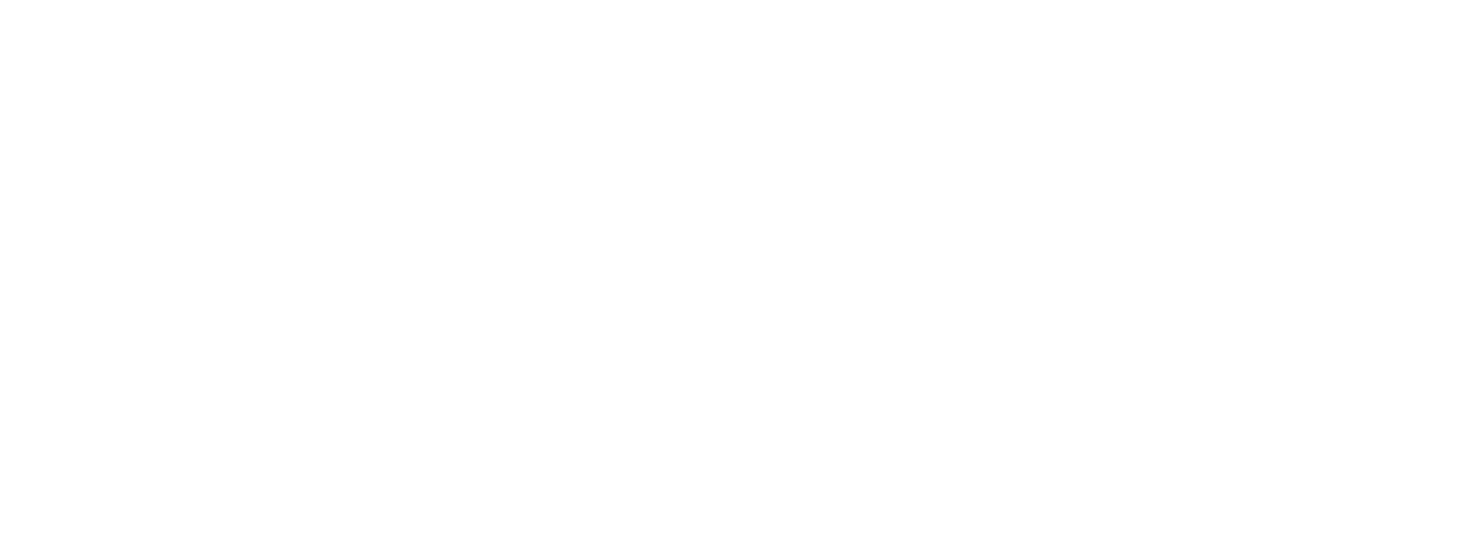 Teufel Logo White