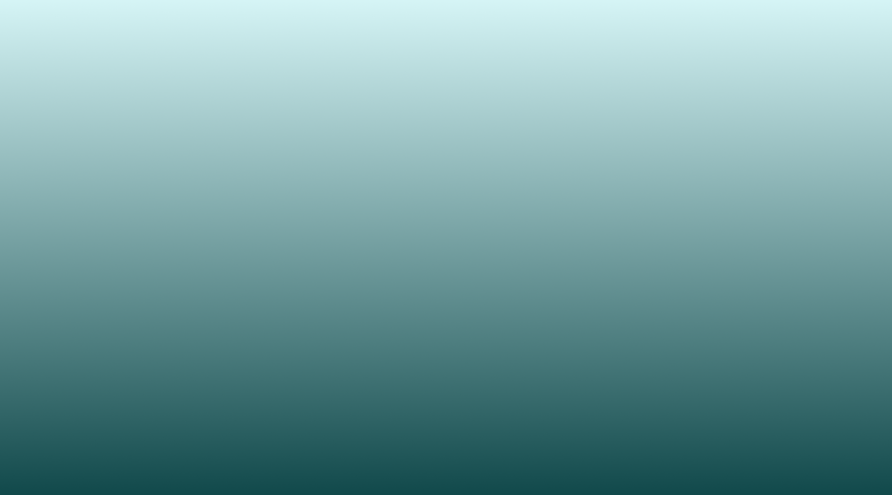 Forest background