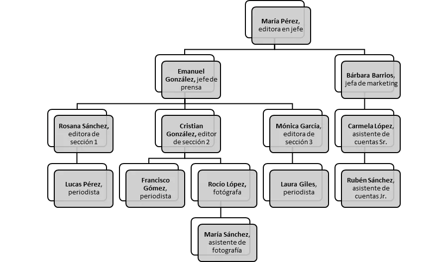 Vertical Organizational Chart 2