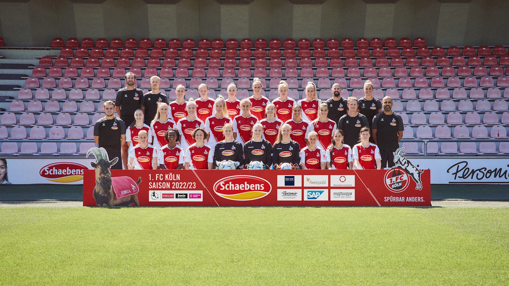Secondary Picture: 1. FC Köln Secondary Picture: 1. FC Köln
